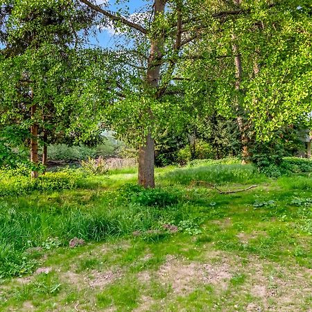 Altstadt Apartment Am Wasser Mit Parkplatz Und Riesigem Garten Bad Kreuznach Luaran gambar