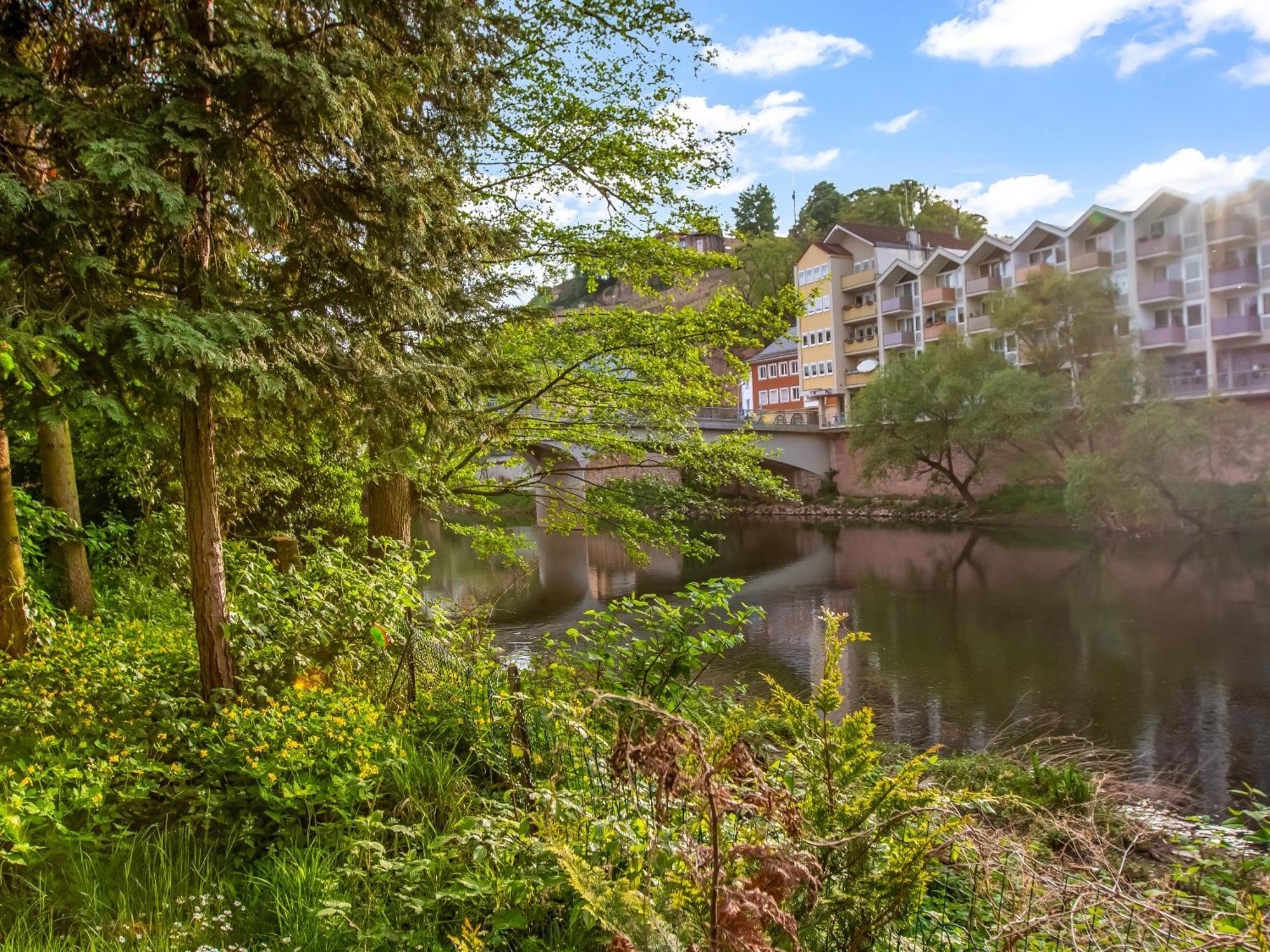 Altstadt Apartment Am Wasser Mit Parkplatz Und Riesigem Garten Bad Kreuznach Luaran gambar